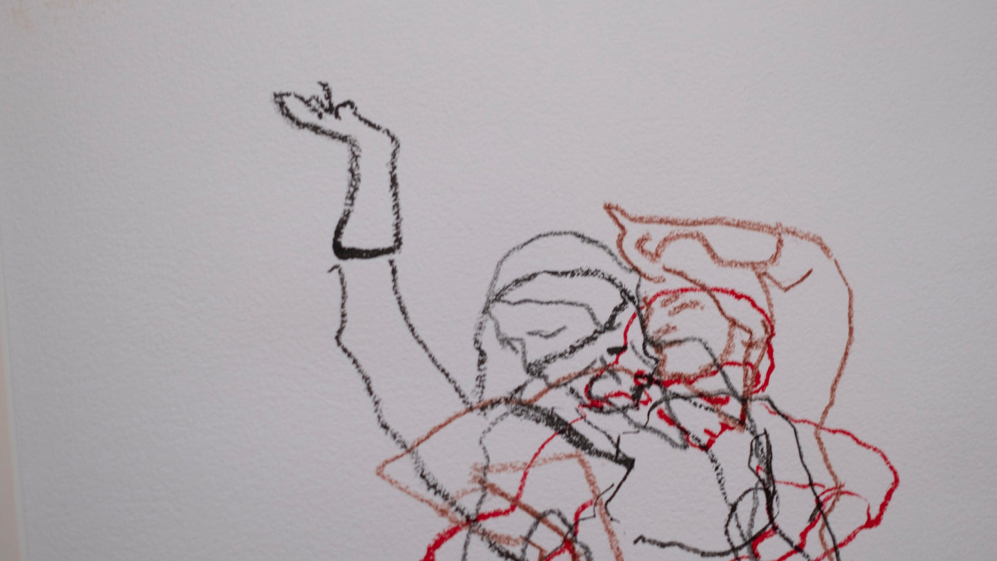 Baile Flamenco Motus