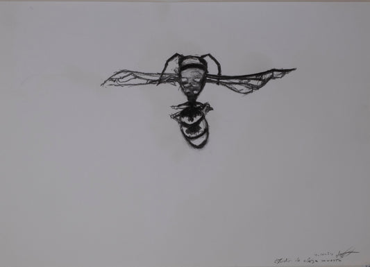 Dead bee sketch 02
